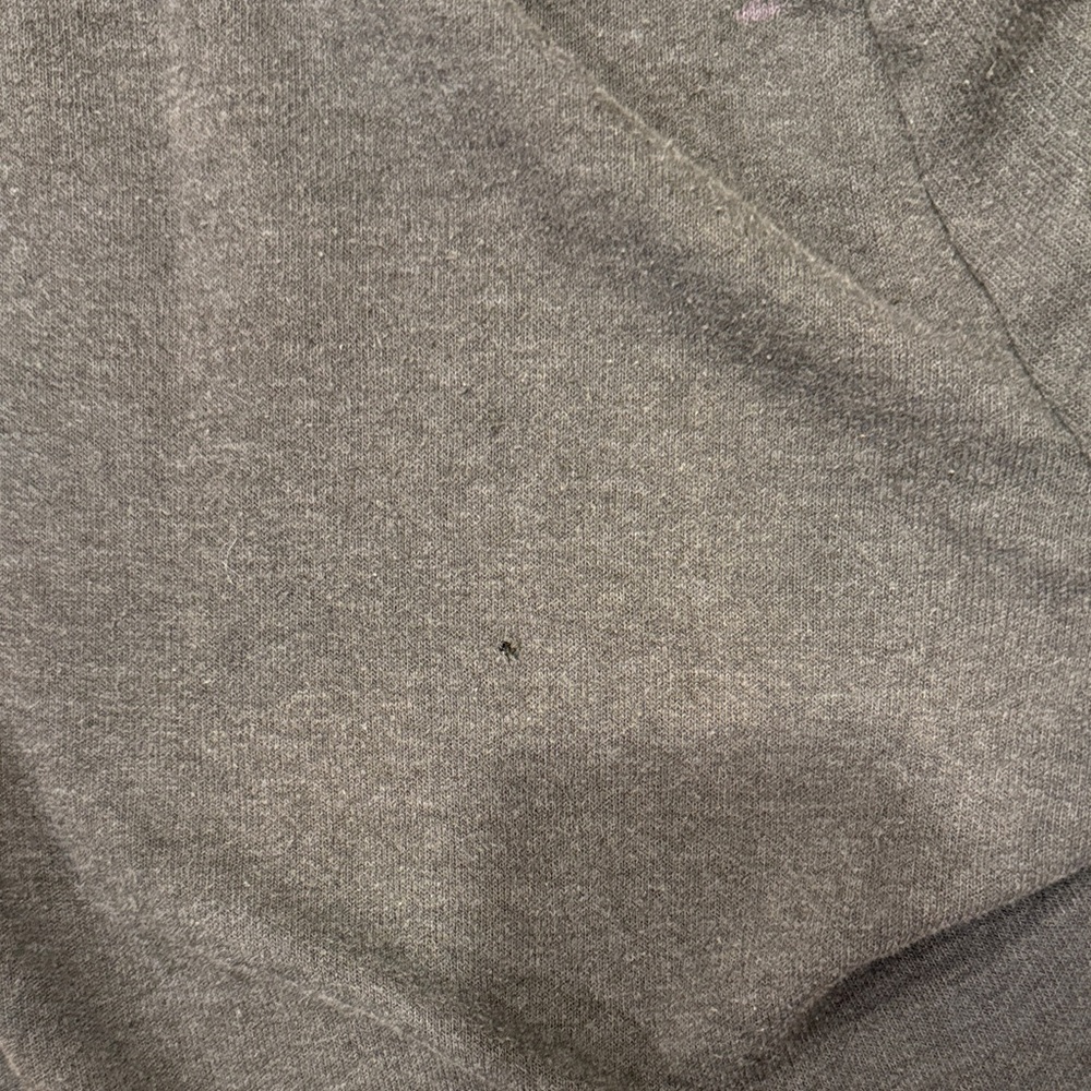Aviator Nation Rainbow Sweatpants - Picture 4 of 4